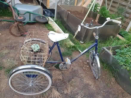 Photo of free Tricycle (Thame, OX9) #1