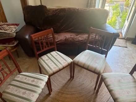 Photo of free Sturdy wooden dining chairs (S35 High Green) #1