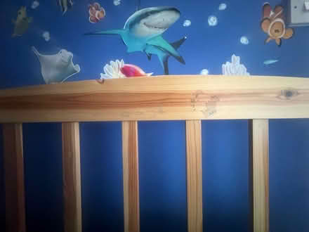 Photo of free Single bunk bed (Bernards Heath AL3) #3