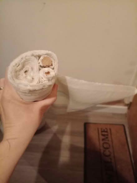 Photo of free Roll of Laura Ashley fabric (Hulme, M15) #2