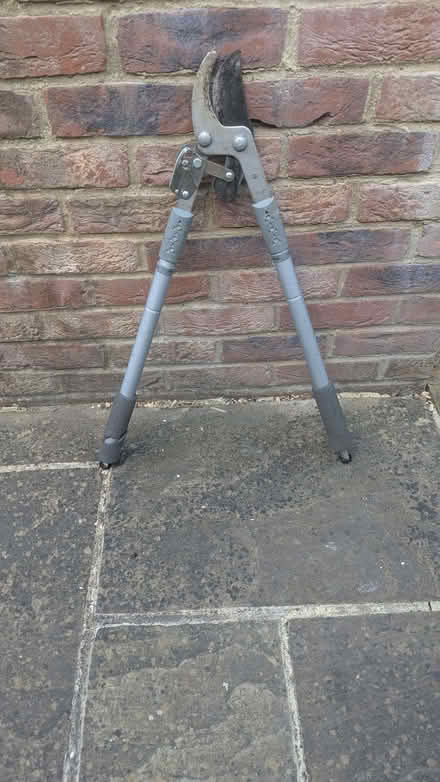 Photo of free Extendable bypass loppers (East Hendred OX12) #1