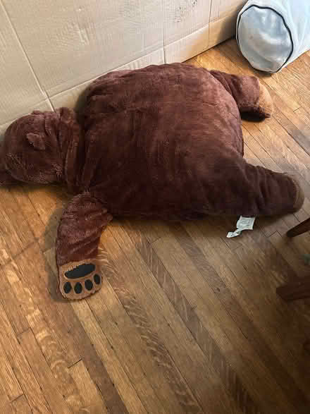 Photo of free Stuffed bear (Chevy Chase DC) #3