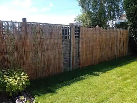 Photo of free Tall 6ft., bamboo fence covering (Penwortham PR1) #1