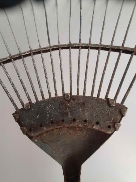 Photo of free Lawn Rake (Twickenham TW2) #3