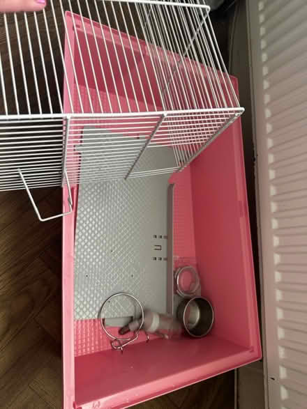 Photo of free Small animal cage (WF2 8) #2