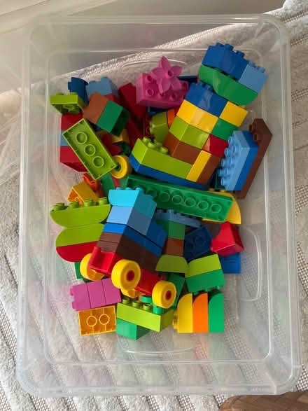 Photo of free Duplo (Bernards Heath AL3) #1