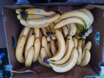 Photo of free Bananas JOB LOT Collection 31.5 (Booker HP12) #1