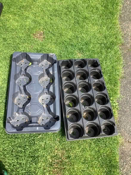 Photo of free Plant trays (Caton LA2) #1