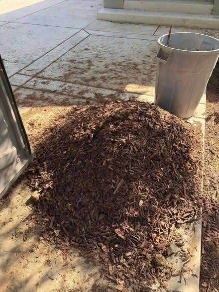 Photo of free Used mulch (Spartan keyes) #1