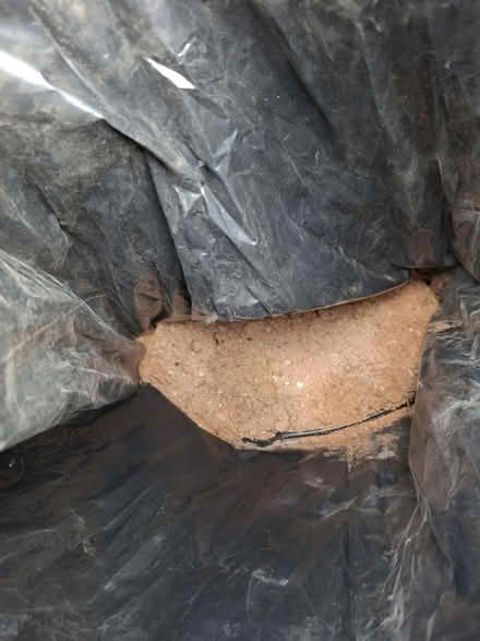 Photo of free Sand in bags (Kings Heath B14) #4