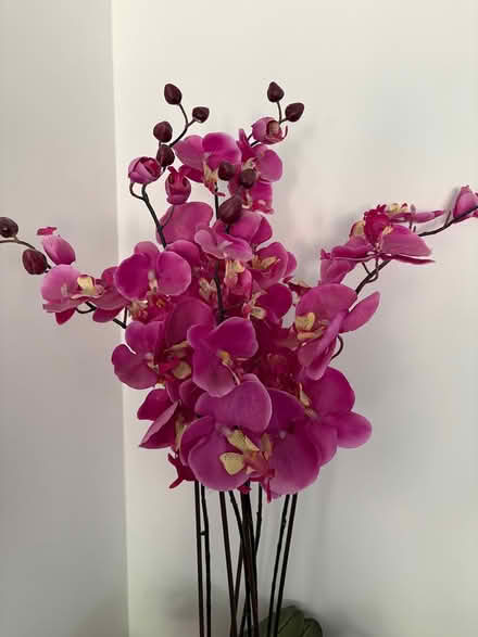 Photo of free Large Faux Orchid (Dh9 9bs) #2