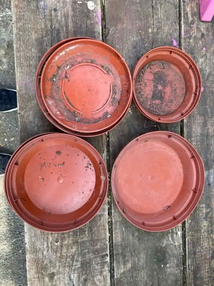 Photo of free Plant pot saucers (Shelton Lock DE73) #1