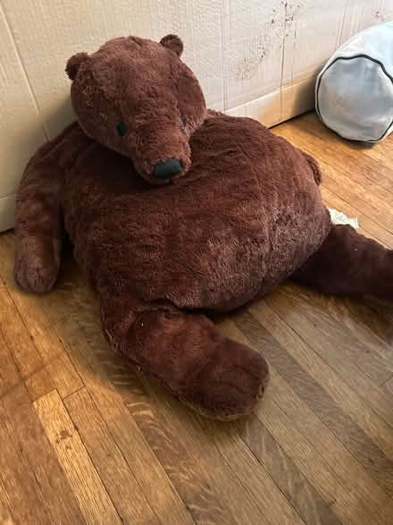 Photo of free Stuffed bear (Chevy Chase DC) #1