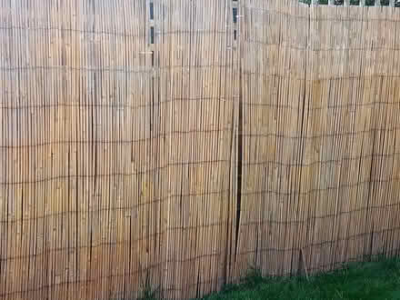 Photo of free Tall 6ft., bamboo fence covering (Penwortham PR1) #4