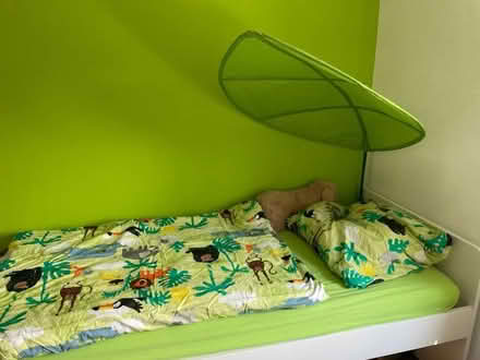 Photo of free IKEA leaf canopy (Cutteslowe, Oxford OX2) #2