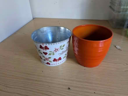 Photo of free Decorative Plant container (Norwich NR3) #1