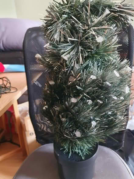 Photo of free Small Christmas tree (Westbury BA13) #1