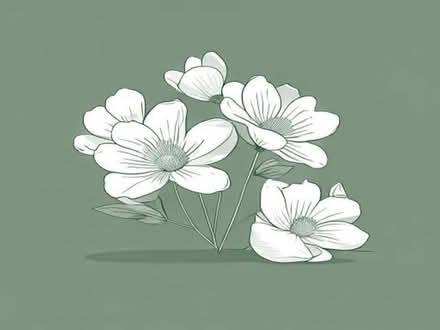 Photo of free Satin flowers (Oldends Farm GL10) #1
