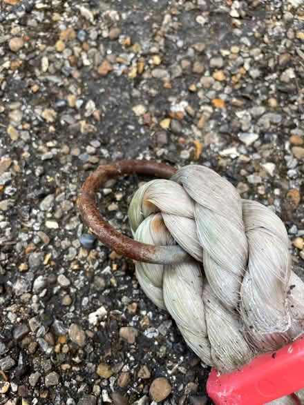Photo of free Kids Rope swing (Deddington OX15) #2