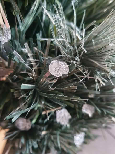 Photo of free Small Christmas tree (Westbury BA13) #2