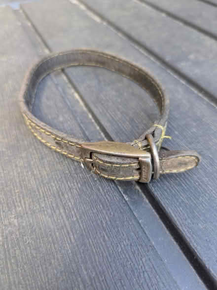 Photo of free Leather Dog Collar (Cromford DE4) #1