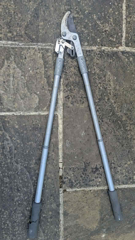 Photo of free Extendable bypass loppers (East Hendred OX12) #2