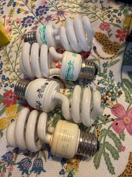 Photo of free CFL Light Bulbs (Alameda) #2
