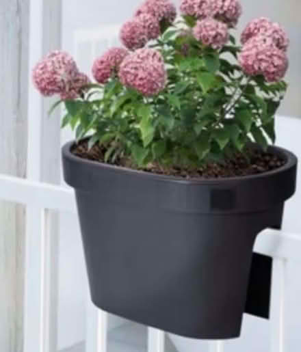 Photo of free Plant pot for balcony railing (Chislehurst BR7) #1