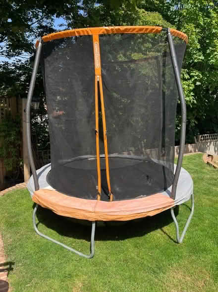 Photo of free Trampoline (Hampden Park BN22) #1