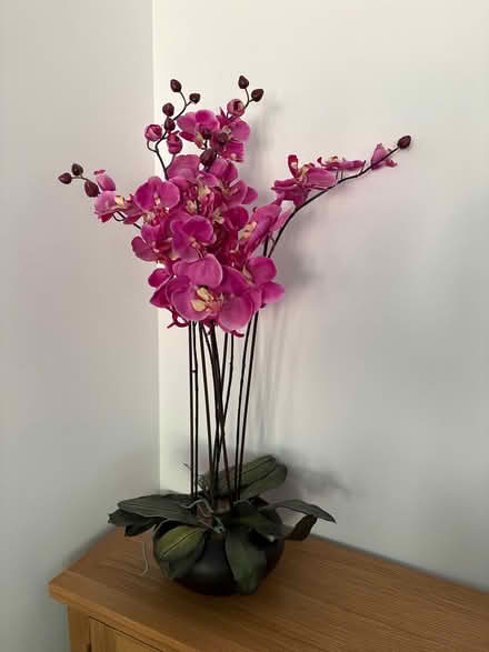 Photo of free Large Faux Orchid (Dh9 9bs) #1