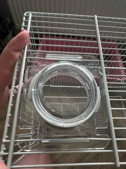 Photo of free Small animal cage (WF2 8) #3