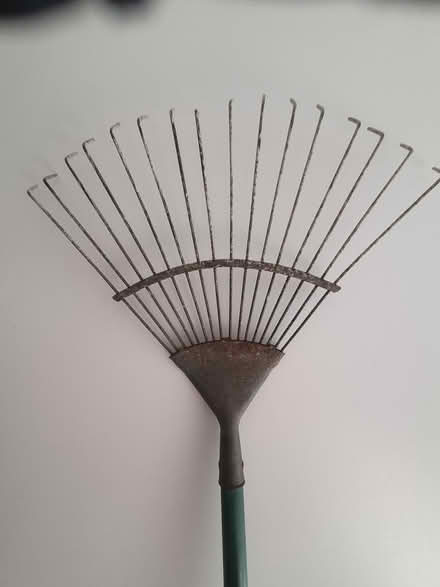 Photo of free Lawn Rake (Twickenham TW2) #2