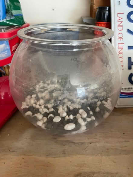 Photo of free Fish bowl (Roselle) #1