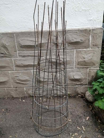 Photo of free Tomato Cages (Old Ottawa East) #1