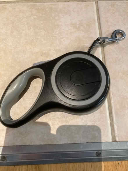 Photo of free Extendable Dog lead (Hornsey N8) #1