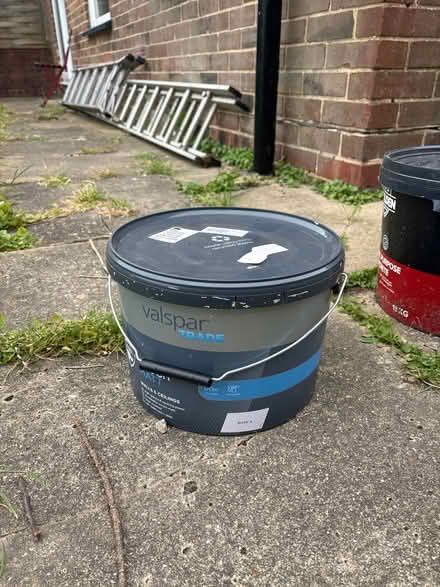 Photo of free Full tub of matte pink paint (Hollingbury, BN1) #1