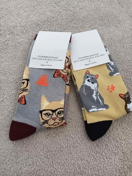 Photo of free New nerdy cat socks (W5) #1