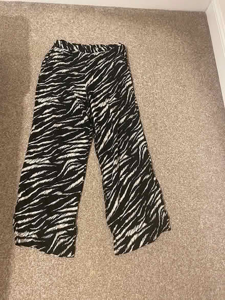 Photo of free Ladies pants (Appleton) #1