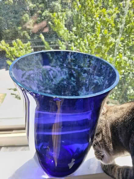 Photo of free Large Glass Vase (Interbay/Queen Anne) #1