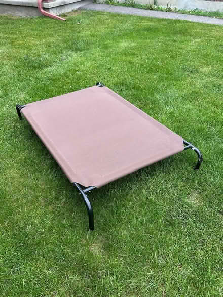 Photo of free Raised dog bed (Hunt Club/Conroy area) #1