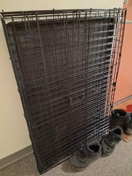 Photo of free Large Dog Crate (Interbay/Queen Anne) #1