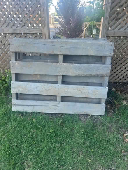 Photo of free Pallets (three of them) (20020) #2