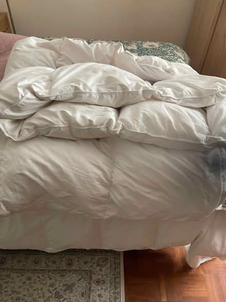 Photo of free Feather and down double duvet (Rodwell DT4) #2