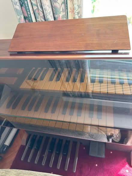 Photo of free Electric organ (Pebsham TN40) #3