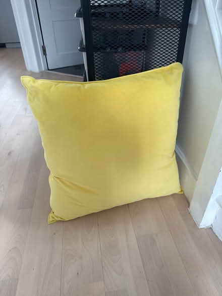 Photo of free Cushing (Whetstone N20) #2