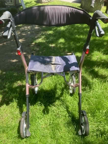 Photo of free Walker (Etobicoke North) #2