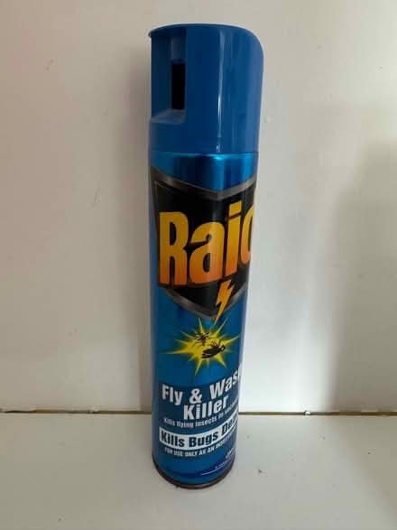 Photo of free Raid fly and wasp spray (Pooley Green TW20) #1