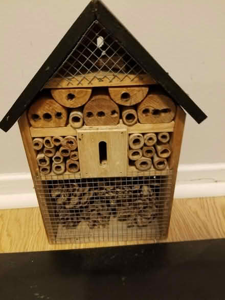 Photo of free Bee hive house (Hunt Club) #1