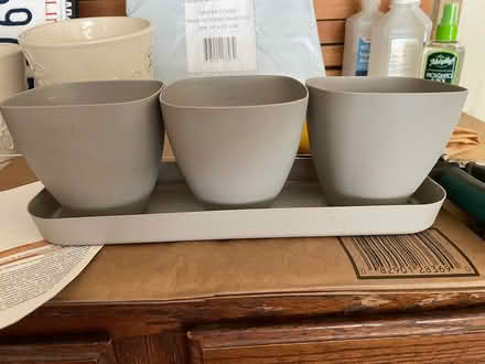 Photo of free Planter (Roselle) #1