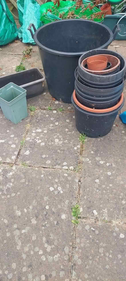 Photo of free Plastic Plant Pots (Hanwell, Ealing) #1